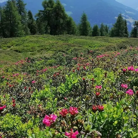 Haus Gruenfels Apartment *