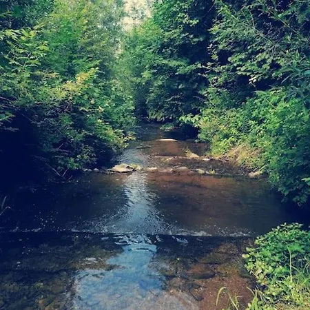 Appartamento Haus Gruenfels *