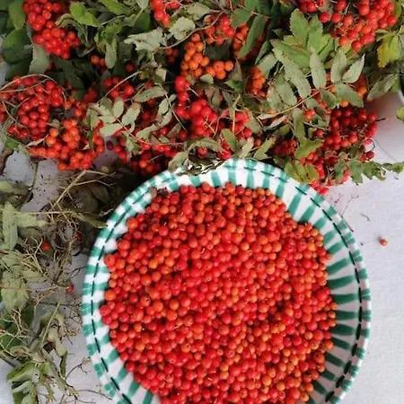 Apartment Haus Gruenfels *