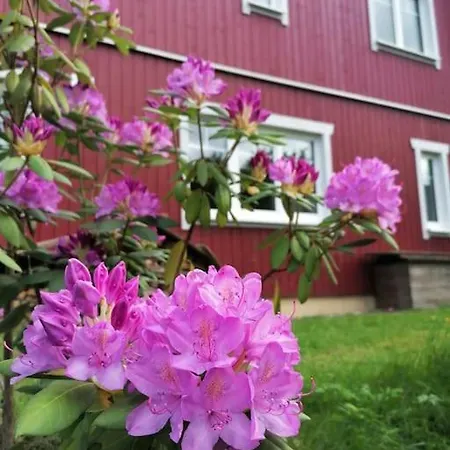 Haus Grünfels Apartamento