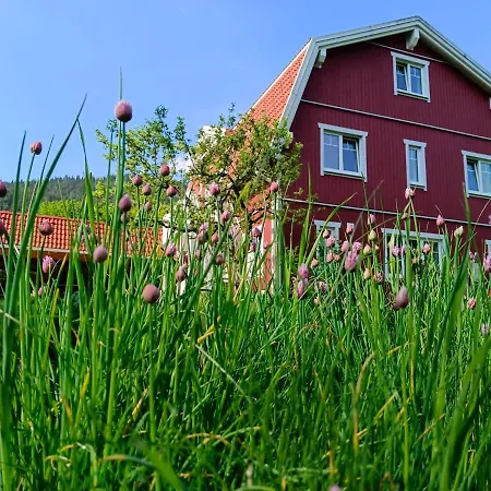 Haus Gruenfels Appartement Murau