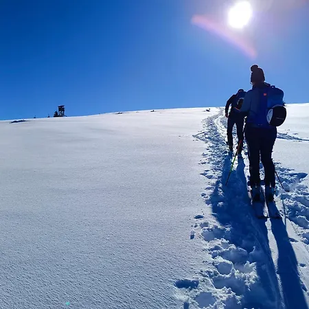 Apartament Haus Gruenfels