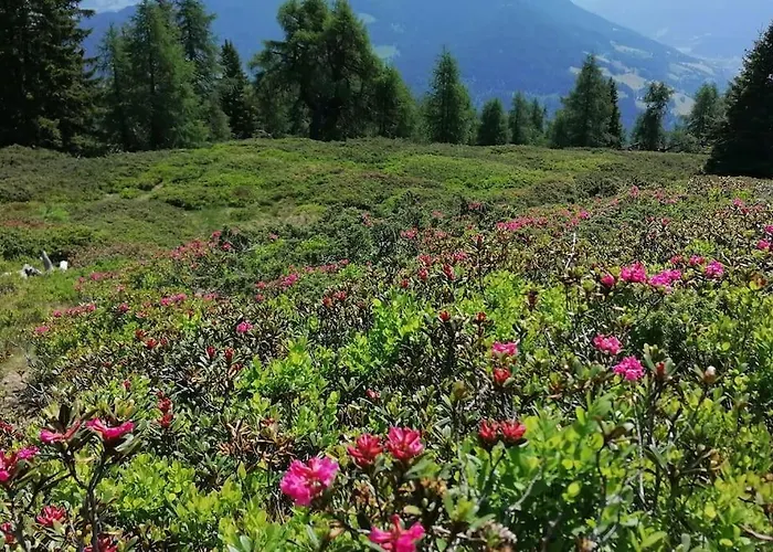 Haus Gruenfels Daire *