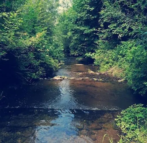 公寓 Haus Gruenfels *