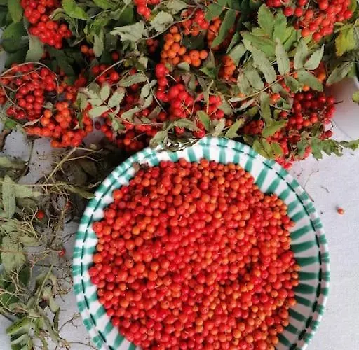 公寓 Haus Gruenfels *