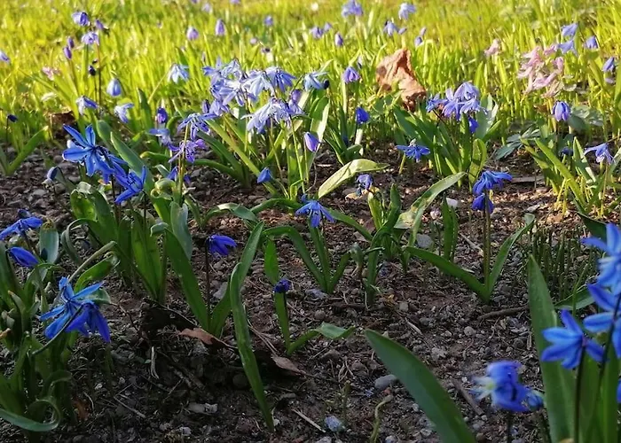 Haus Gruenfels Daire