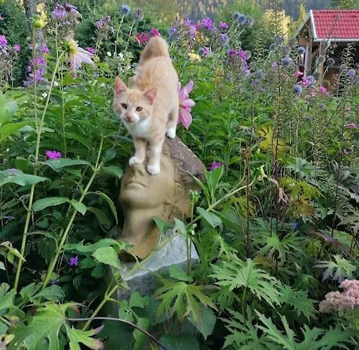 Haus Gruenfels Daire *