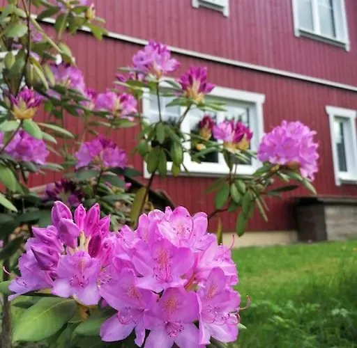 Haus Gruenfels Daire